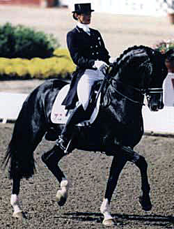 Ferro